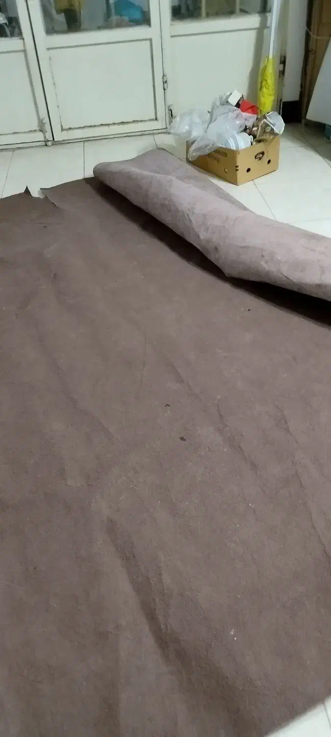 موکت قهوه ای|موکت|شاندیز, |دیوار