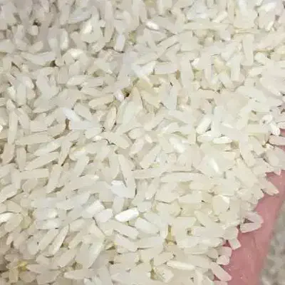 برنج فجر سوزنی درجه یک|خوردنی و آشامیدنی|گرگان, |دیوار