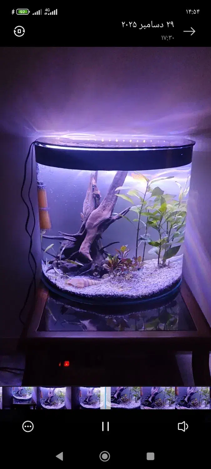 اکواریوم|ماهی|محمدشهر, شهرک پیام (مهرالبرز)|دیوار