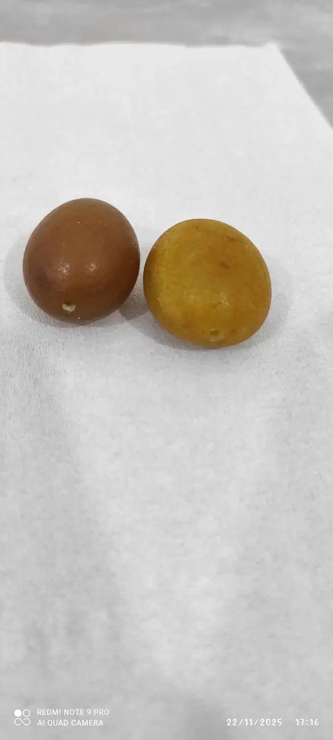 مهره سنگ چرب شیرین|کلکسیون اشیاء عتیقه|کارون, |دیوار