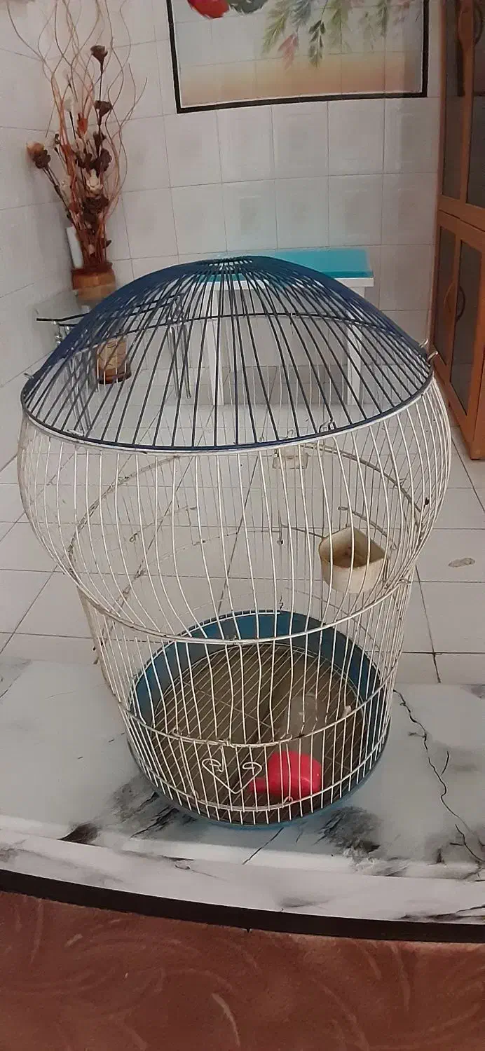 قفس|لوازم جانبی حیوانات|شیراز, پودنک|دیوار