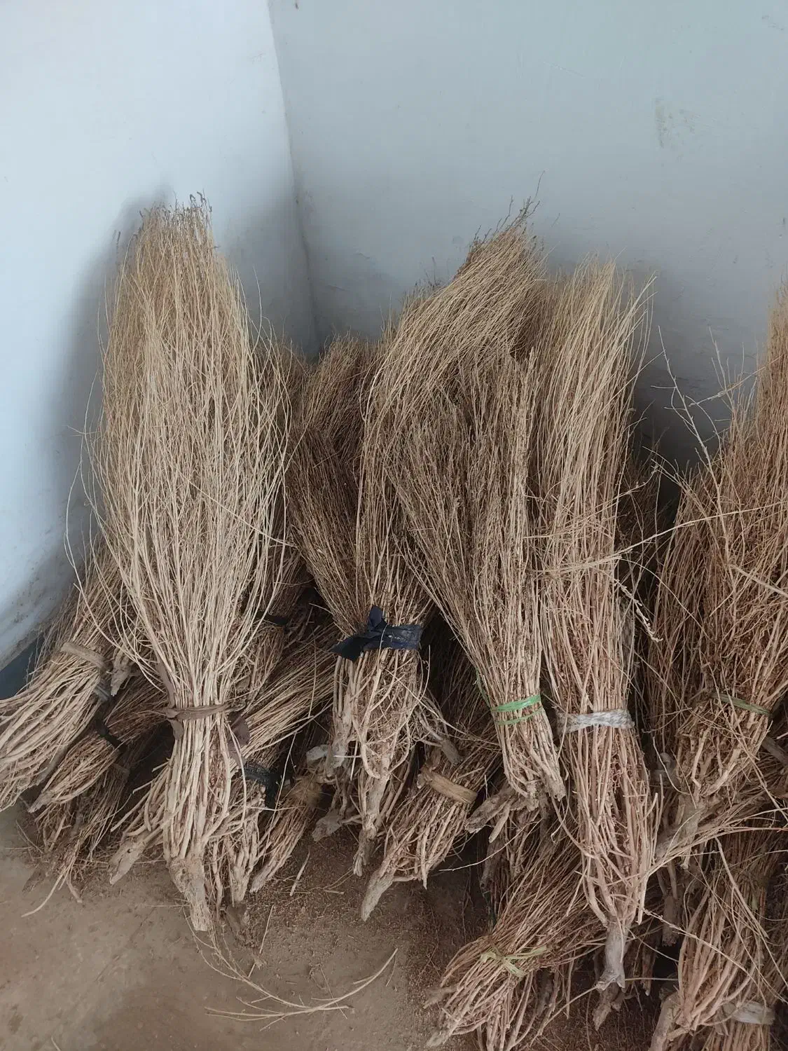 ج ا ر و قیمت مناسب|لوازم نظافت|نیشابور, بنیاد شهید|دیوار