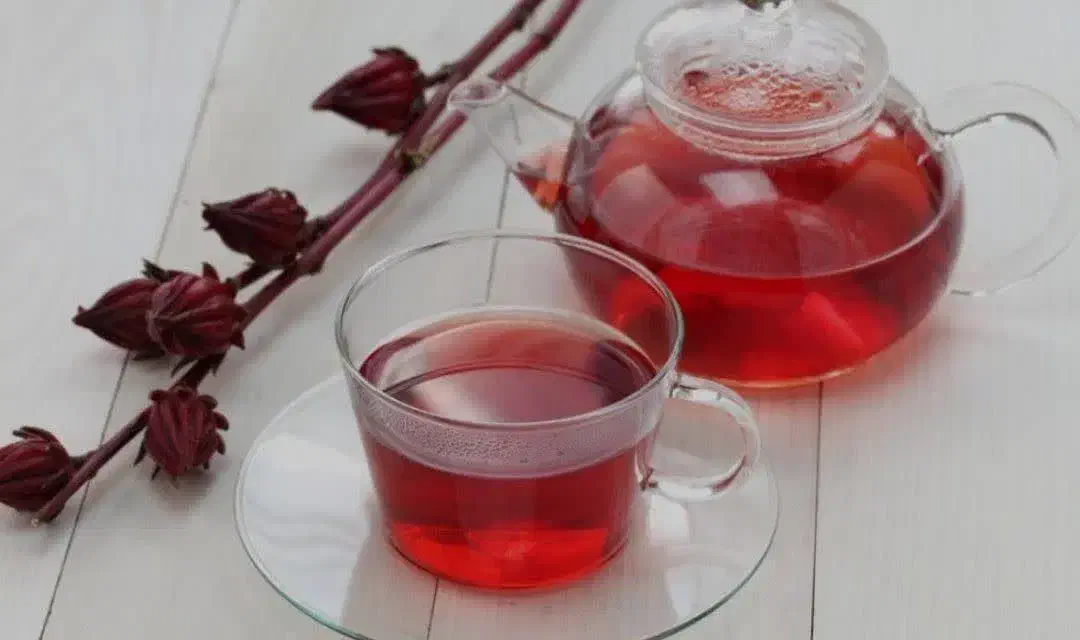 با خیال راحت فشار خون و چربی خون را کاهش بده|آرایشی، بهداشتی، درمانی|تربت‌حیدریه, سیلوی گندم|دیوار