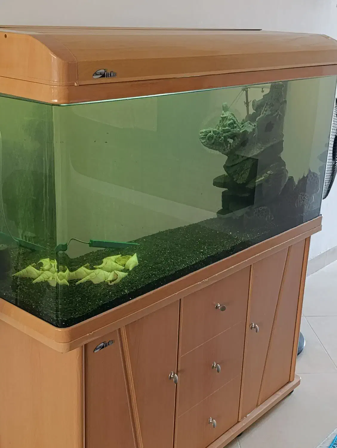 آکواریوم چینی با لوازم و ماهی|ماهی|مشهد, کوی ولیعصر|دیوار