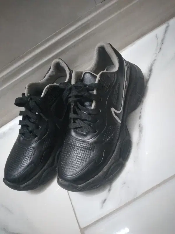 کفش|کیف، کفش، کمربند|قم, ولیعصر|دیوار