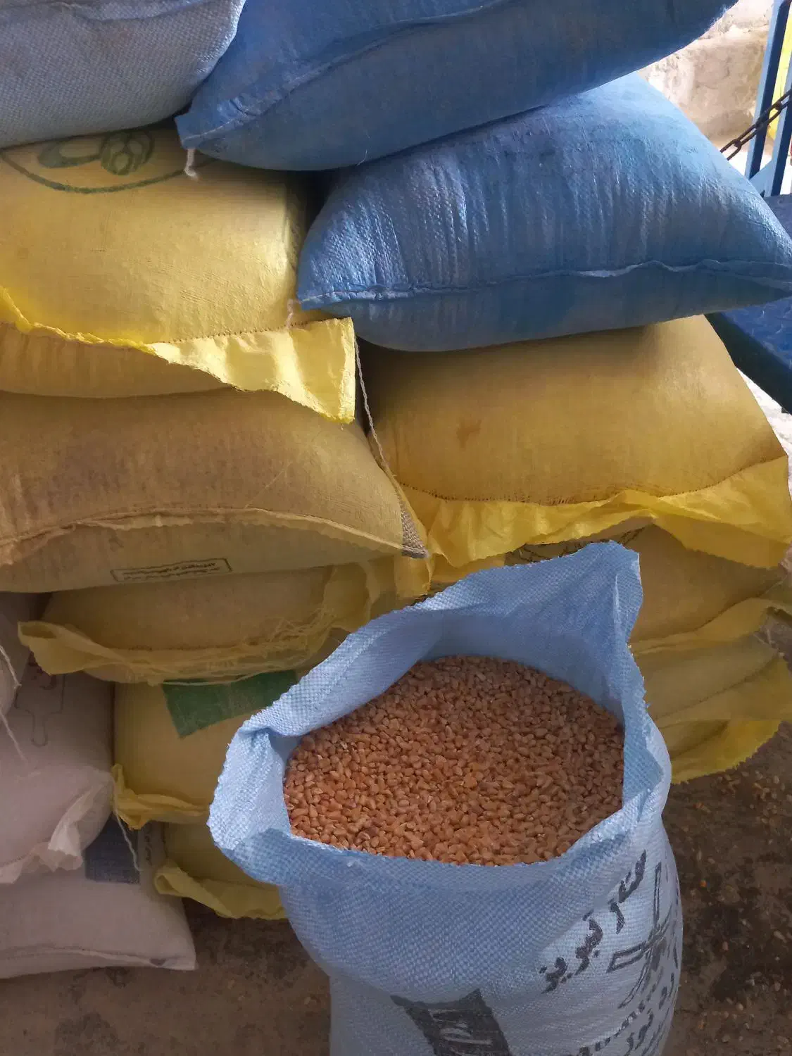 ذرت درجه یک|لوازم جانبی حیوانات|مشگین شهر, |دیوار