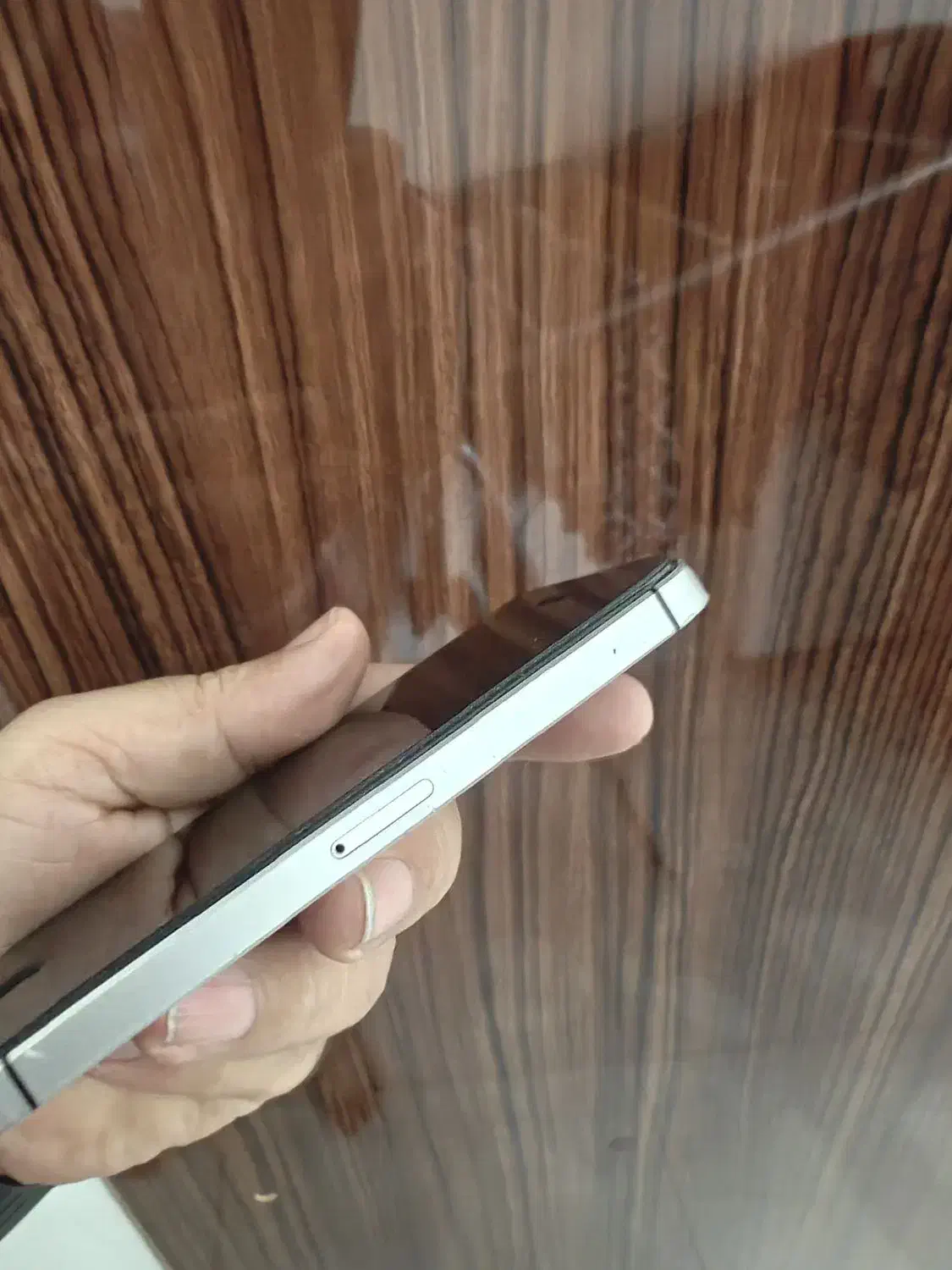 آیفون Seمدل2016.فقط تافردااینقیمت|موبایل|گرگان, |دیوار