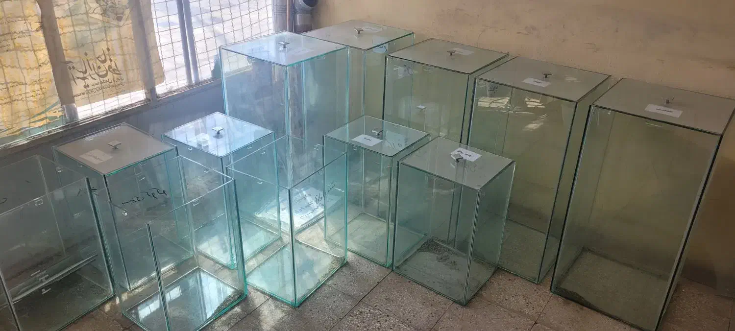 با سلام چند عدد باکس شیشه ای در ابعاد مختلف|فروشگاه و مغازه|کاشمر, |دیوار