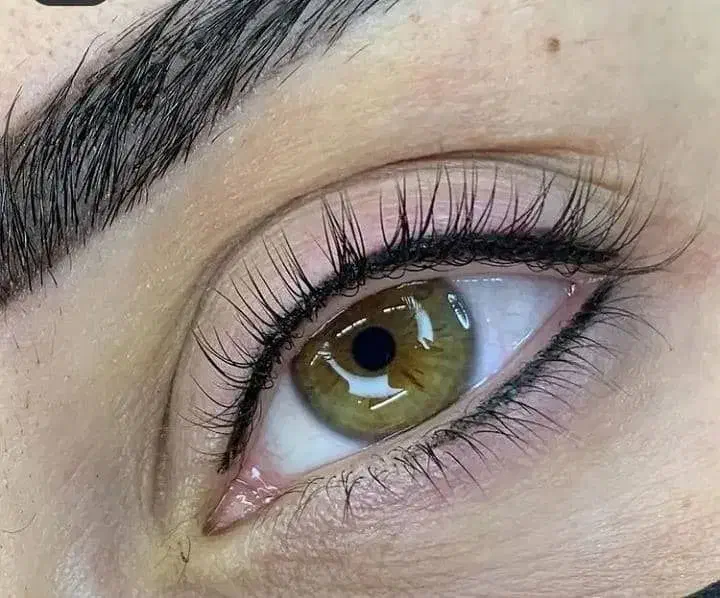 آموزش لاین های زیبایی|خدمات آموزشی|کرج, خرمدشت|دیوار