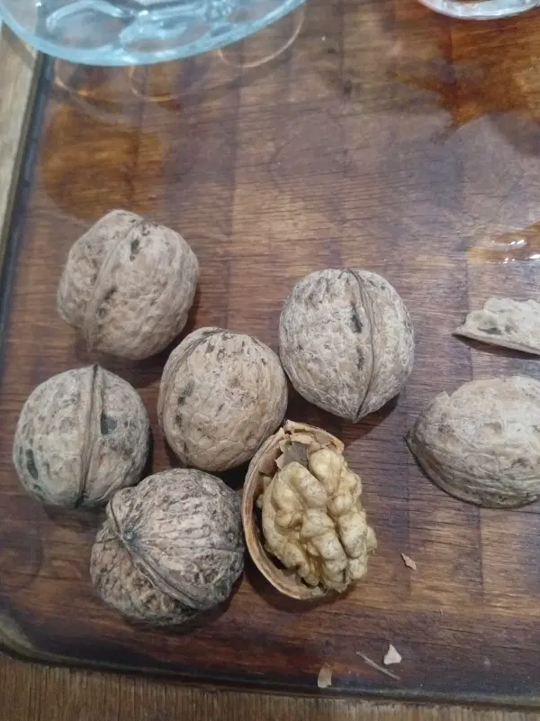 گردو|خوردنی و آشامیدنی|نورآباد, |دیوار