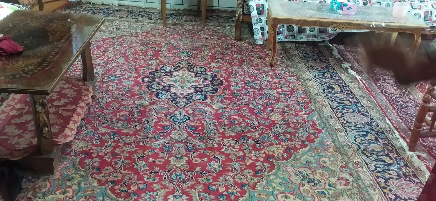 یک قالی دست بافت ۳/۴ ۶تا پشتی دست بافت|فرش|کرمان, |دیوار