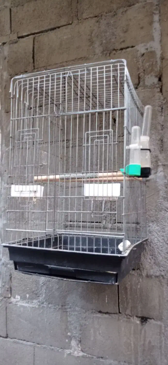 ۴تاقفس پرنده|لوازم جانبی حیوانات|ارومیه, |دیوار