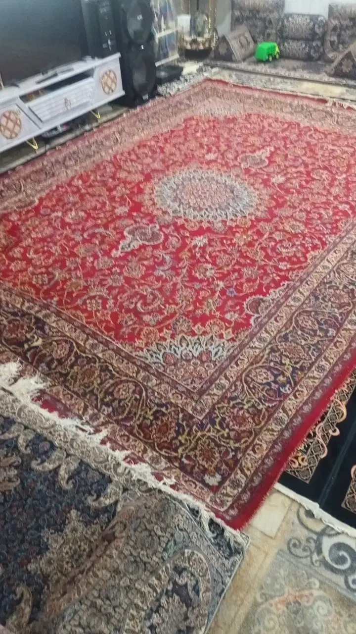 فروش فرش دستباف|فرش|زاوه, |دیوار