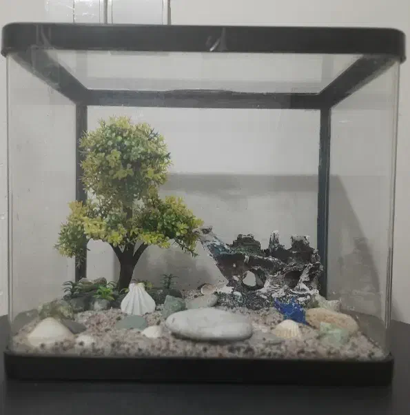 آکواریوم شیشه خم|ماهی|تهران, کاج|دیوار