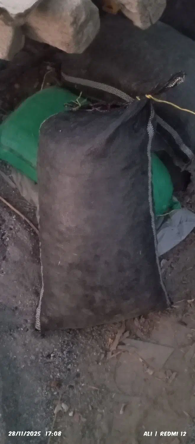 سلنک خشک خشک|لوازم جانبی حیوانات|میناب, |دیوار