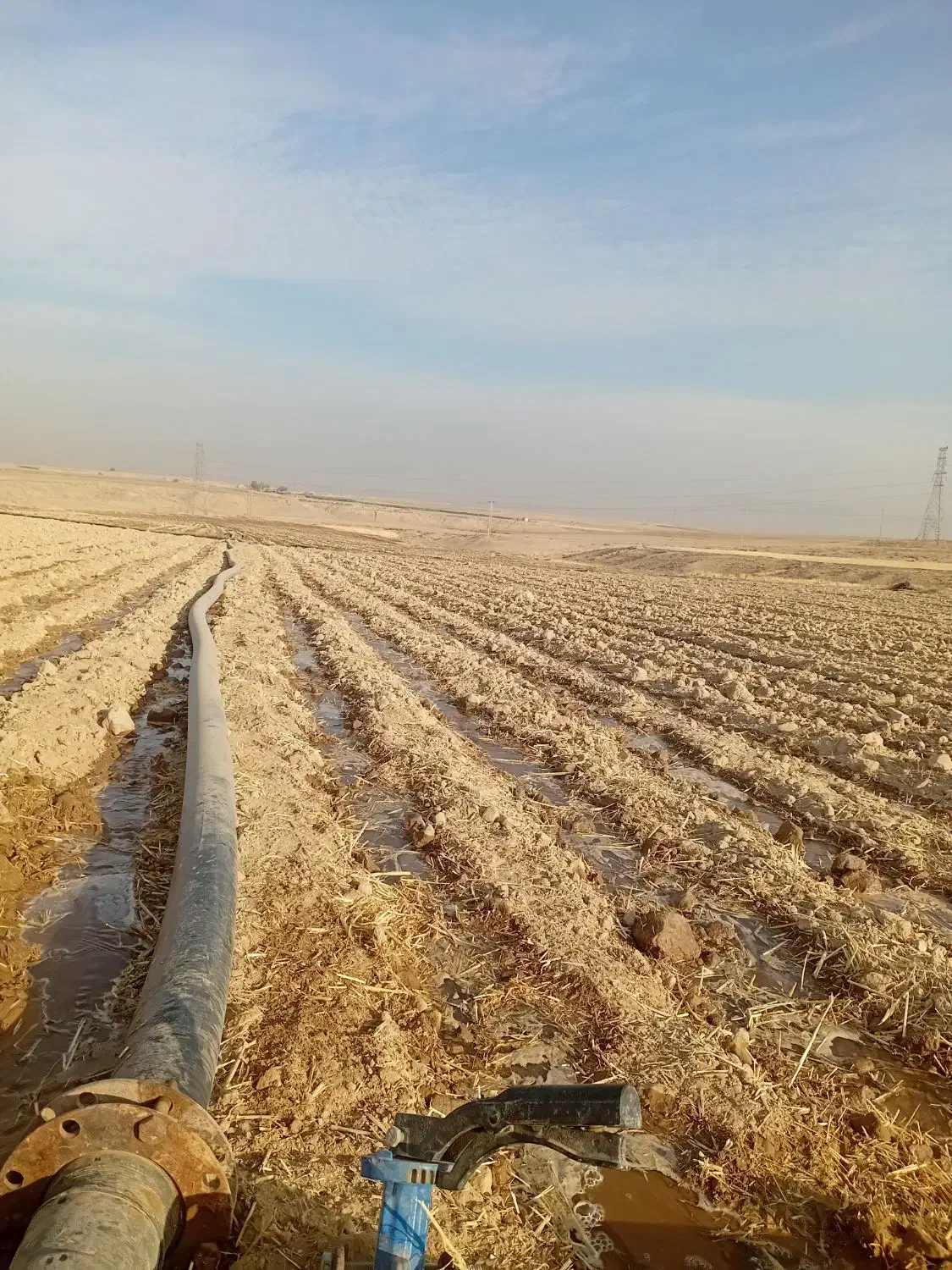 باغ ۴۰۰۰ متری ۶ دانگ|فروش خانه و ویلا|رضویه, |دیوار