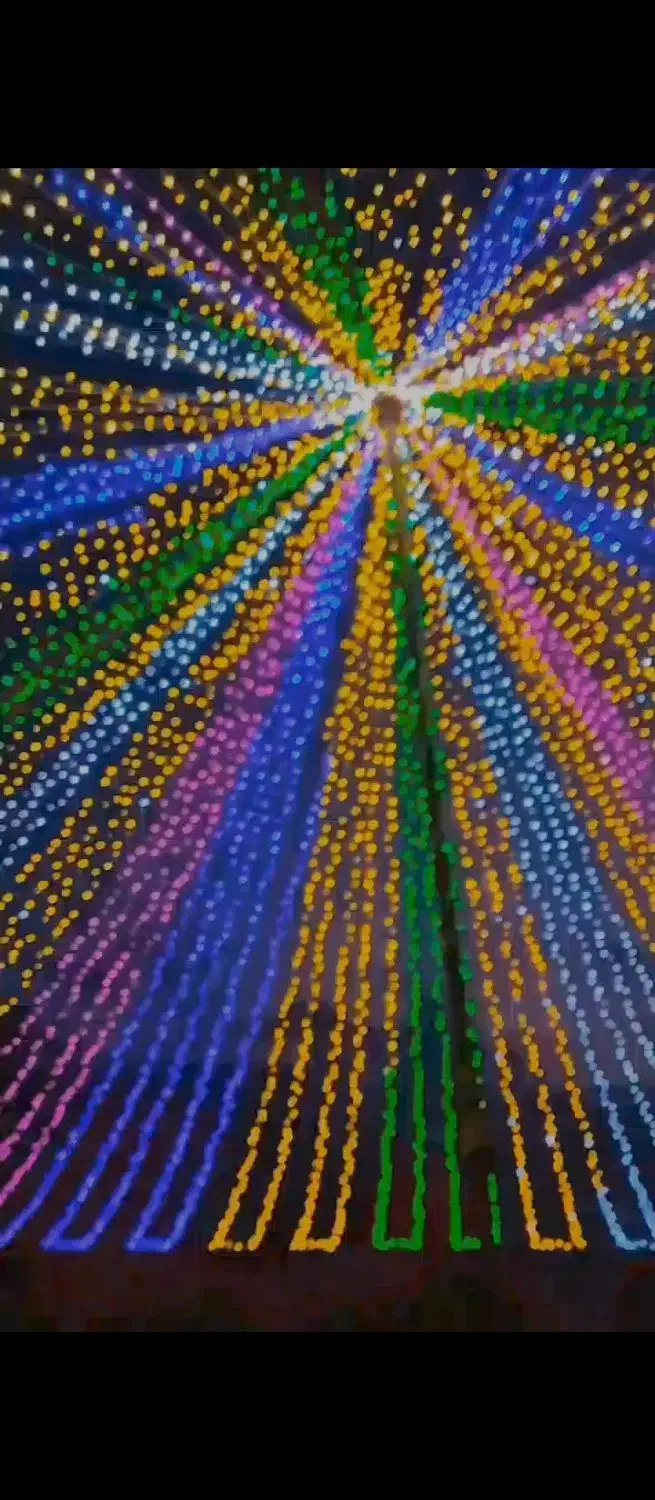 نورپردازی و ریسه ونوس|ریسه و چراغ تزئینی|بندرعباس, |دیوار