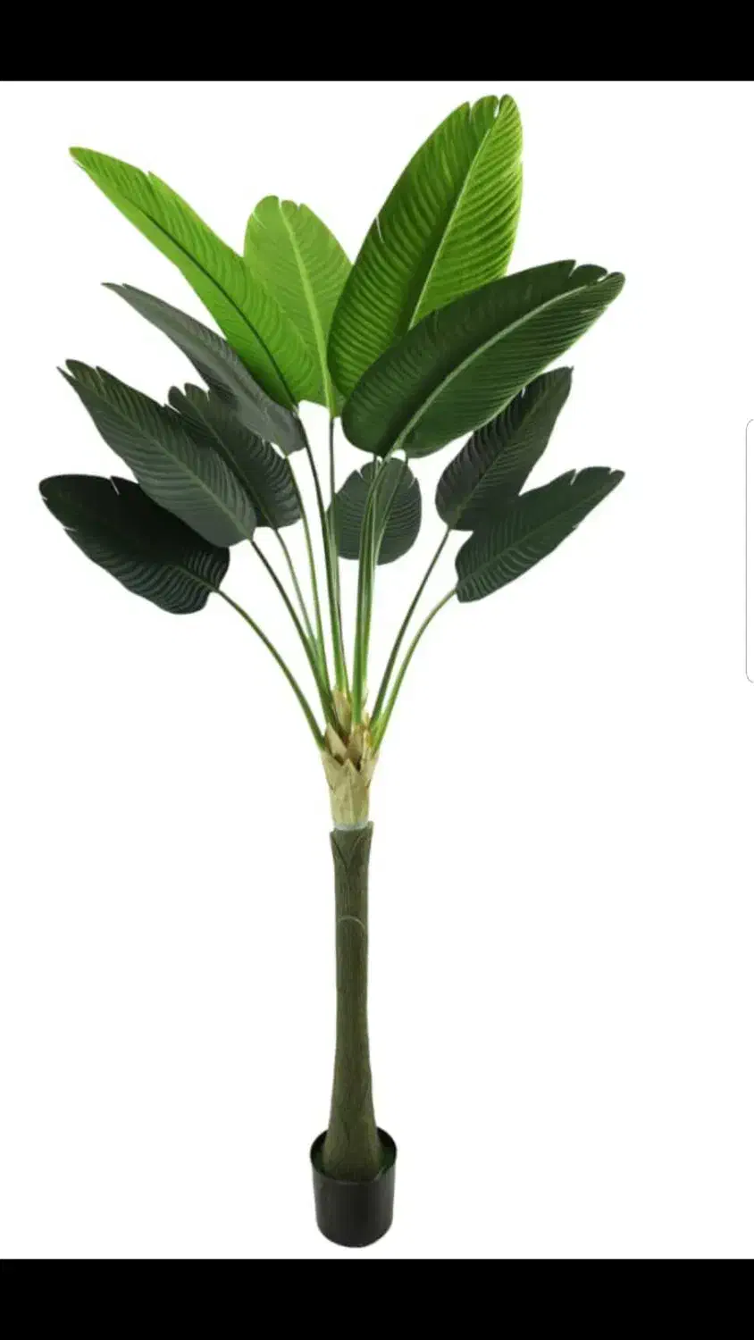 درخت مصنوعی|گل مصنوعی|بندر کنگان, |دیوار