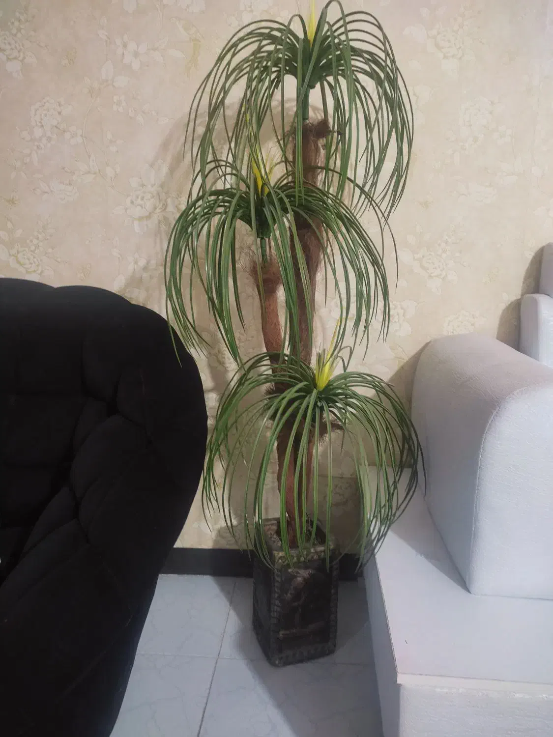 حراج.درختچه.جاشمعی.تابلو.ظروف استیل و ملامین|حراج|پرند, فاز ۳|دیوار