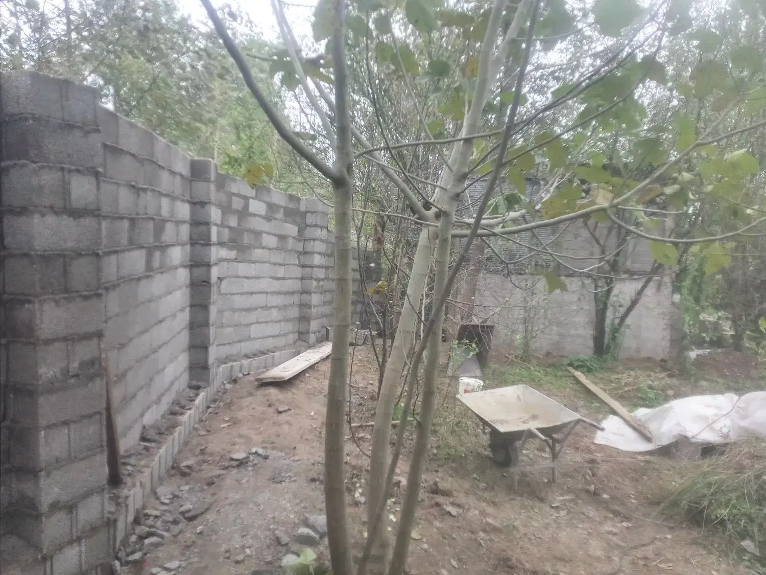 بلوک چینی ، سیمان کاری ، سفال چینی|خدمات پیشه و مهارت|فومن, |دیوار