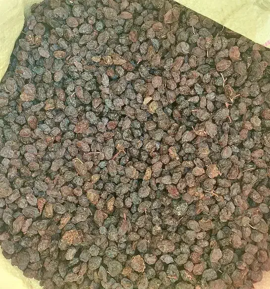 کشمش آفتابی بوانات اعلا|خوردنی و آشامیدنی|یزد, |دیوار