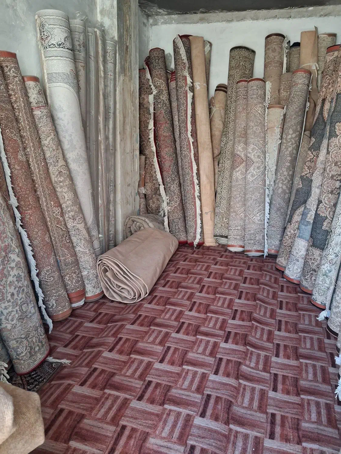 فرش فروشی|فرش|شاهرود, |دیوار