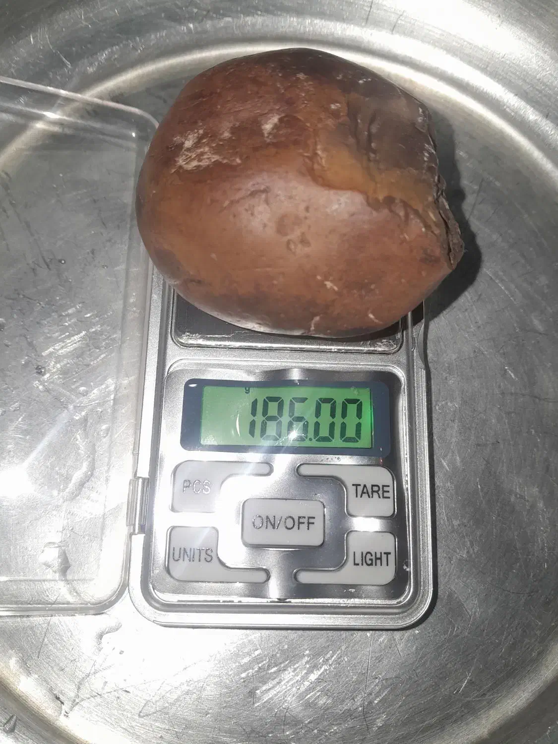 سنگ با ارزش|کلکسیون اشیاء عتیقه|بن, |دیوار