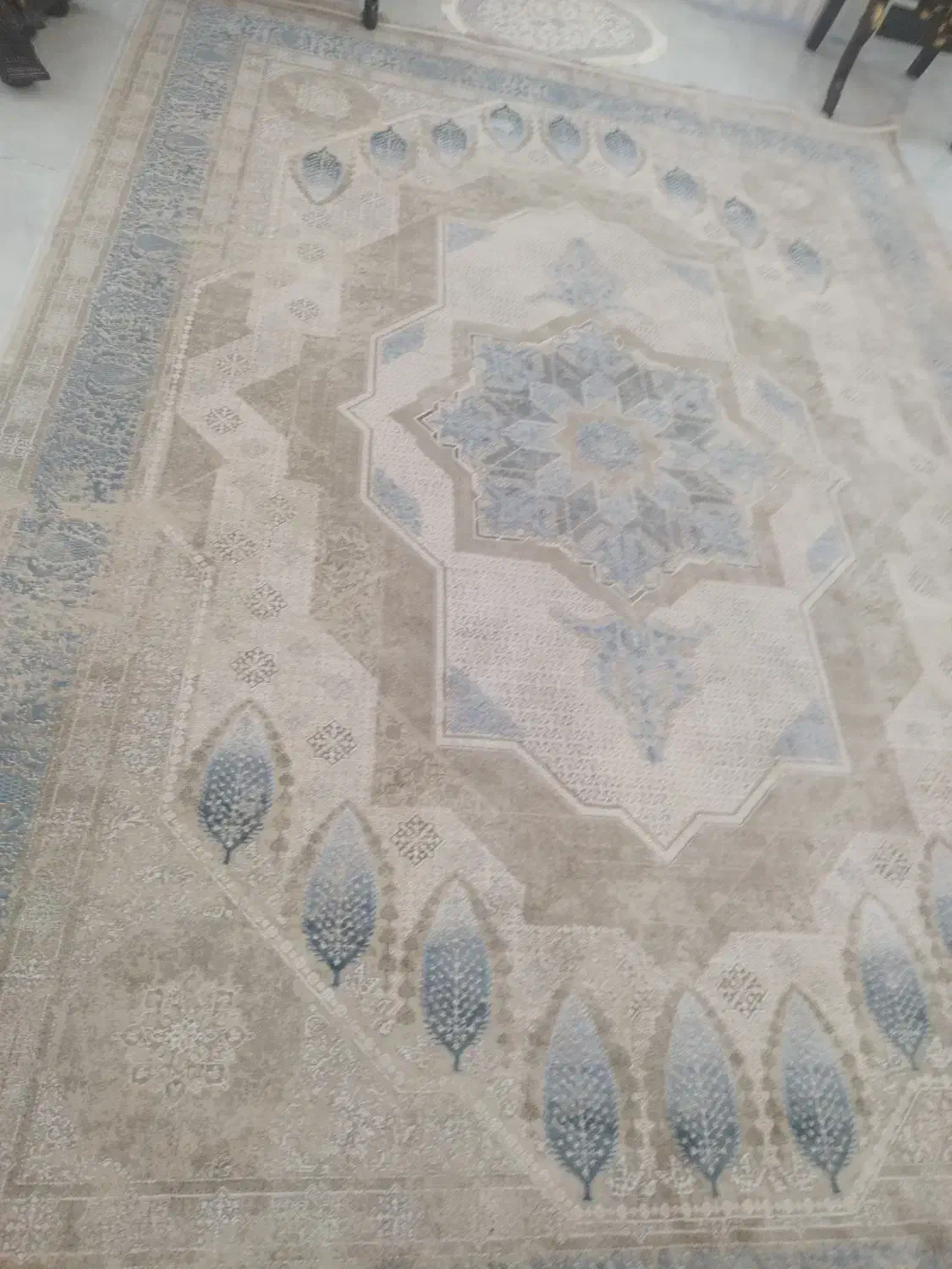 فرش وقالی|فرش|رفسنجان, |دیوار