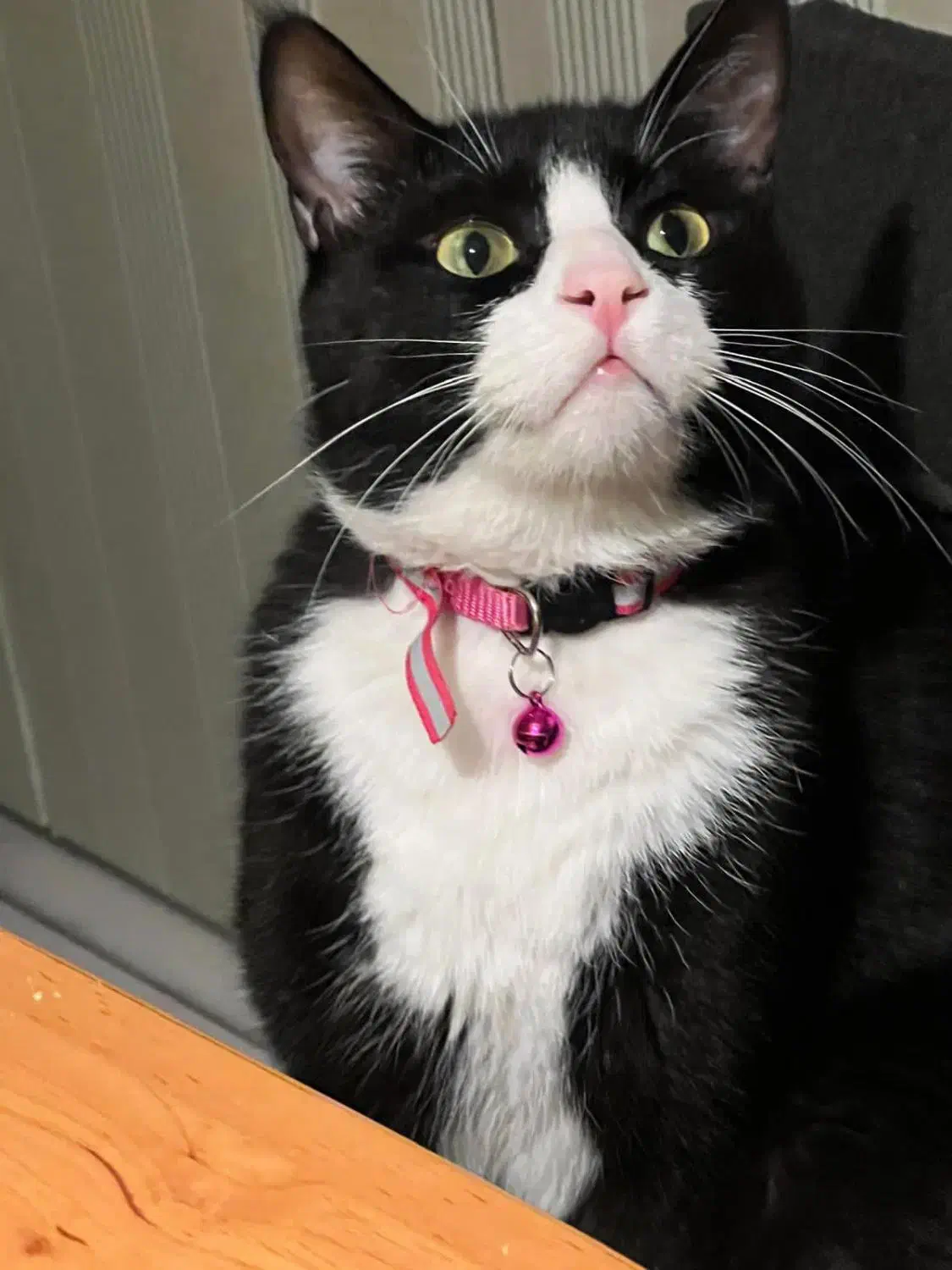 خدمات و همراه سالمند بصورت شبانه روزی با اتاق شخصی|استخدام سرایداری و نظافت|تهران, شهرک غرب|دیوار