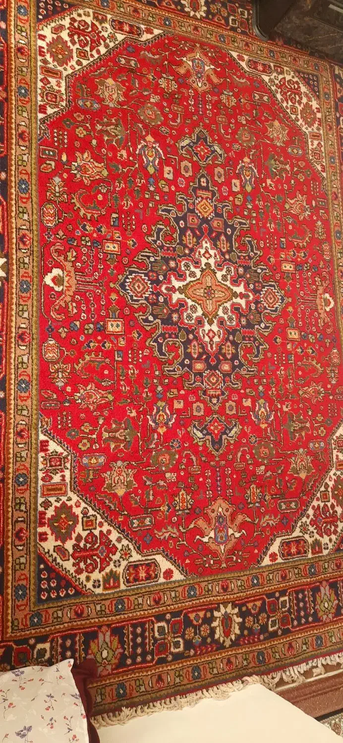 فرش دستباف عالی ۴۰ رج|فرش|خوی, |دیوار