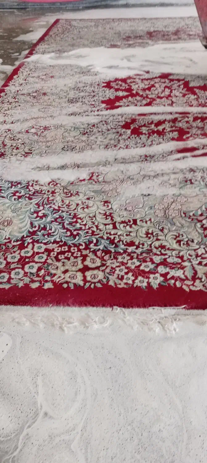 قالیشویی  کیفیت برترشهرما 24ساعت|خدمات نظافت|مشهد, مقدم|دیوار