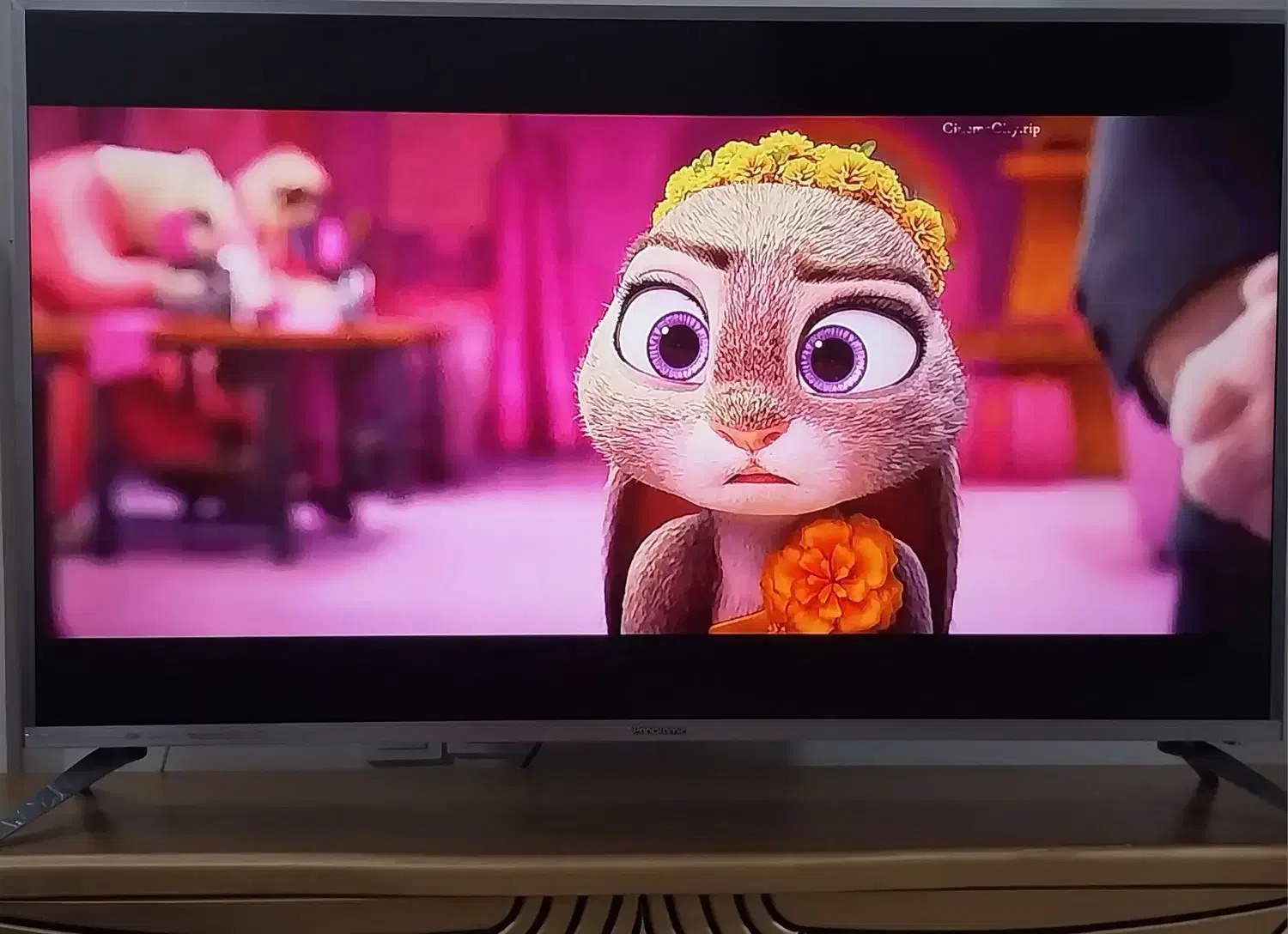 LED|تلویزیون و پروژکتور|مشهد, فاطمیه|دیوار