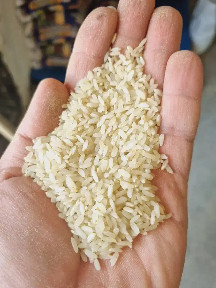 برنج فجر|خوردنی و آشامیدنی|خان ببین, |دیوار