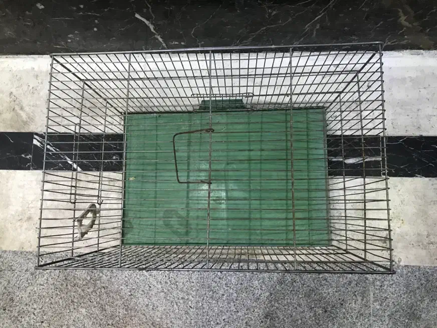 قفس پرنده|لوازم جانبی حیوانات|تهران, حکیمیه|دیوار
