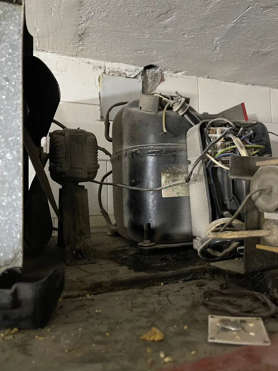 یخچال وفریزر ایستاده با موتور پوسته بزرگ فرانسوی|یخچال و فریزر|بجنورد, |دیوار