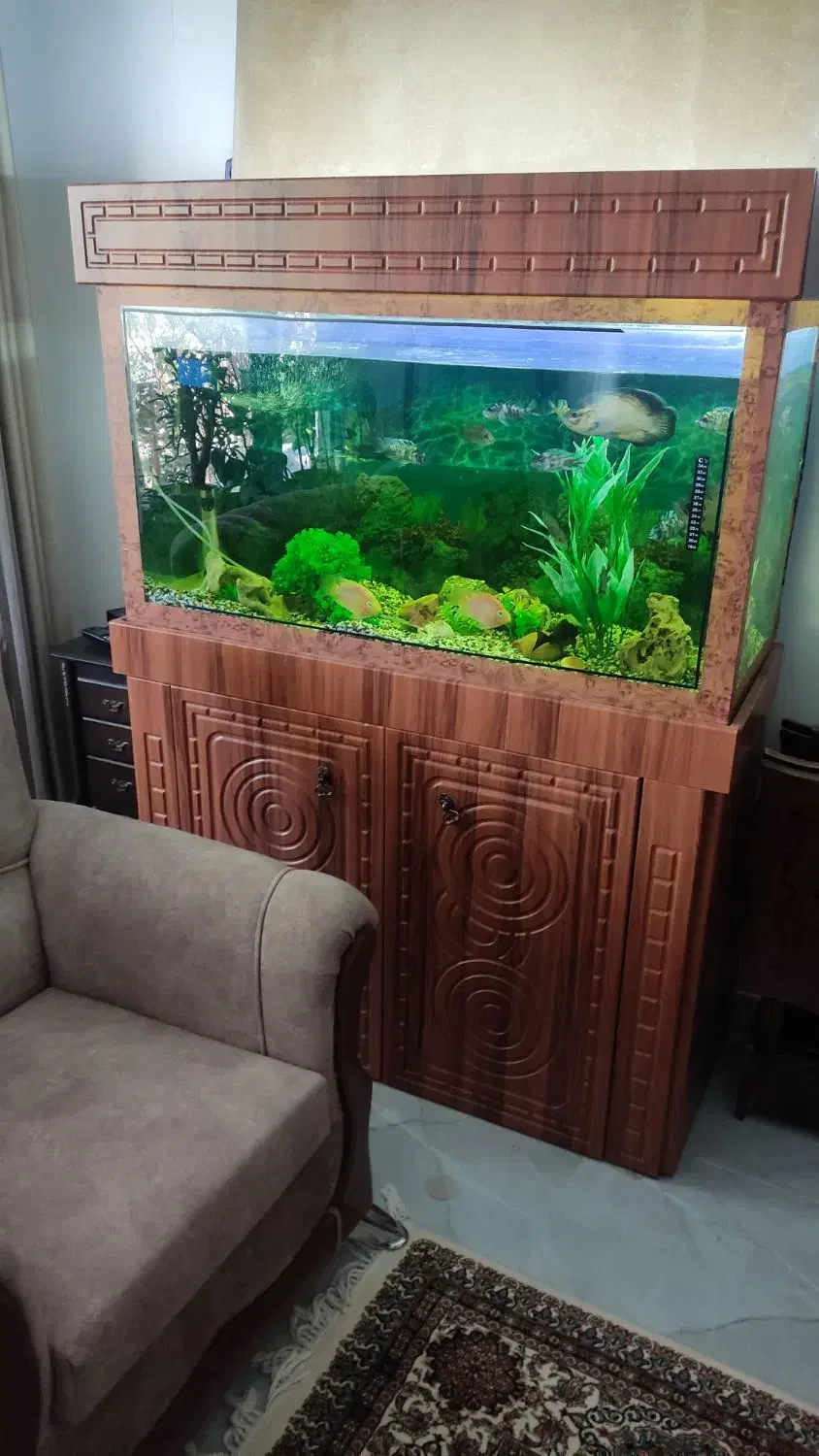 آکواریوم همراه کلبه وماهی ومطعلقات|ماهی|ضیاء آباد, |دیوار