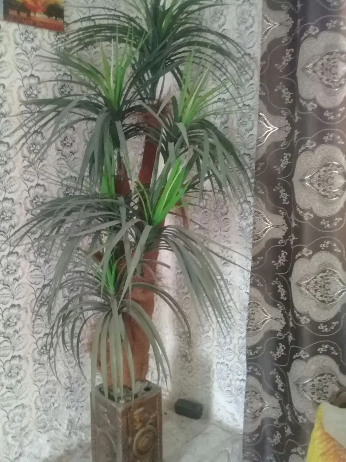 گلدان درخت نخل مصنوعی|گل مصنوعی|کرمانشاه, |دیوار