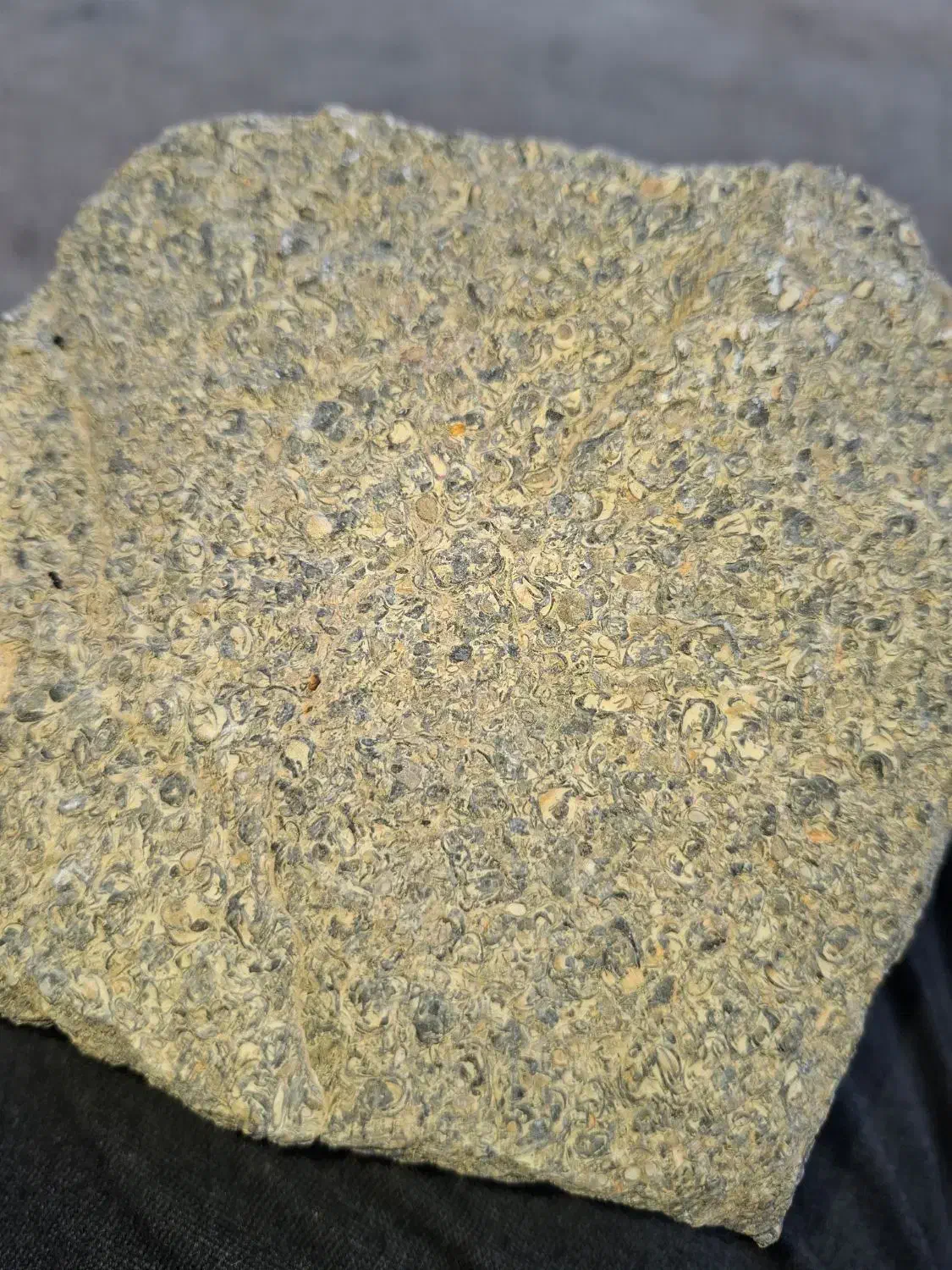 سنگ زیبا|کلکسیون اشیاء عتیقه|دهدشت, |دیوار