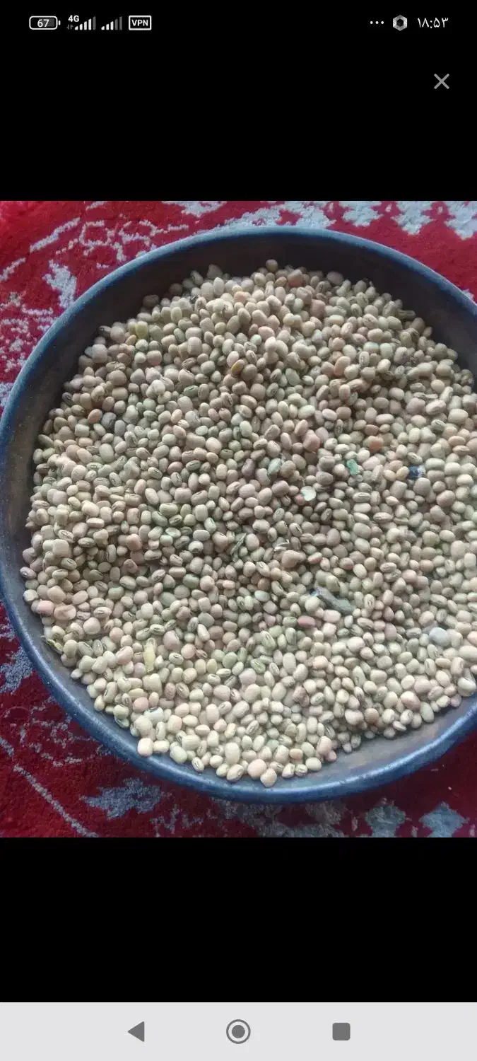 ترخینه روغن محلی|خوردنی و آشامیدنی|هرسین, |دیوار