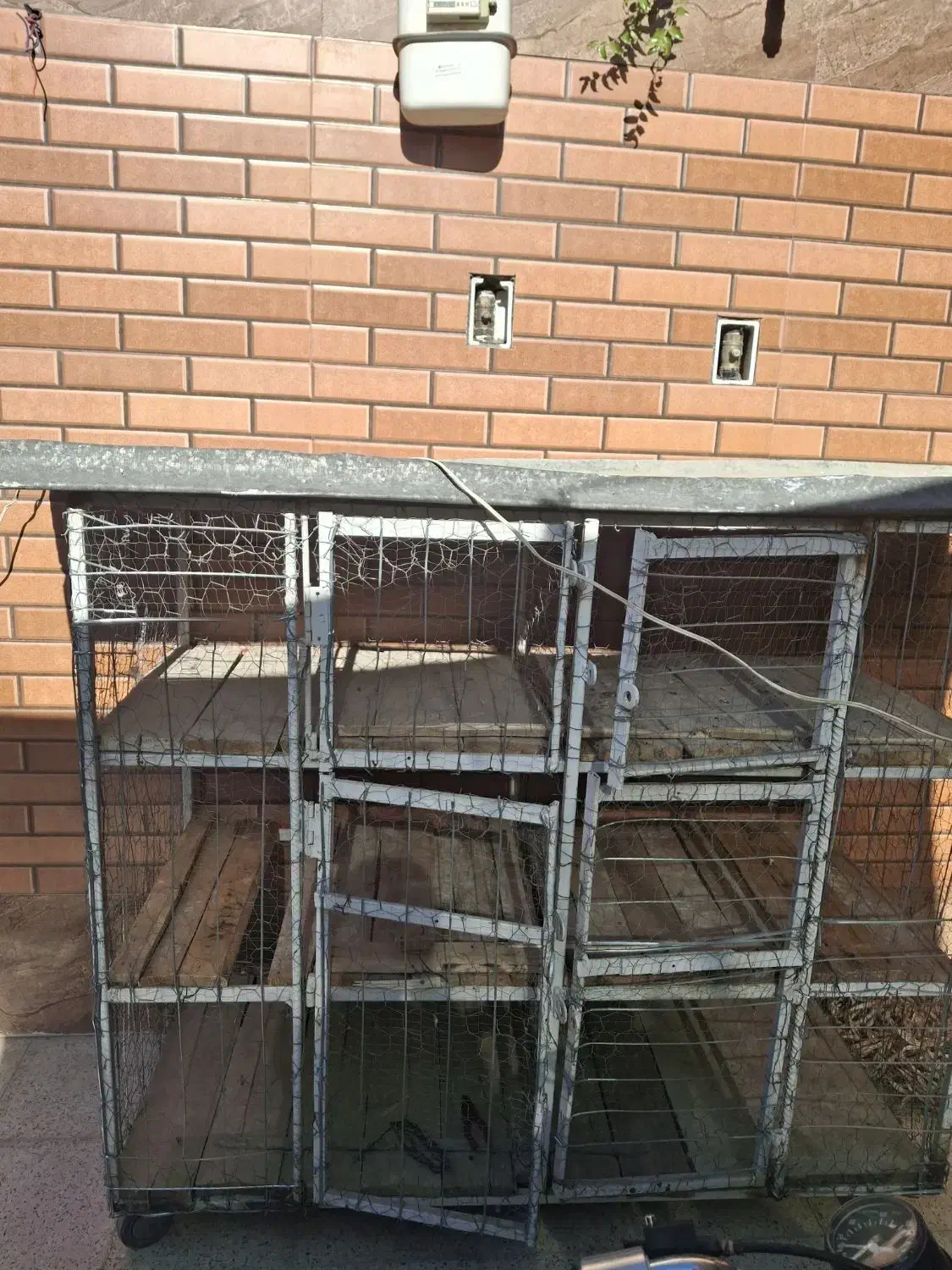 جف کن ۶طبقه با اب خوری و دون خوری ۴تومن|لوازم جانبی حیوانات|فلاورجان, |دیوار