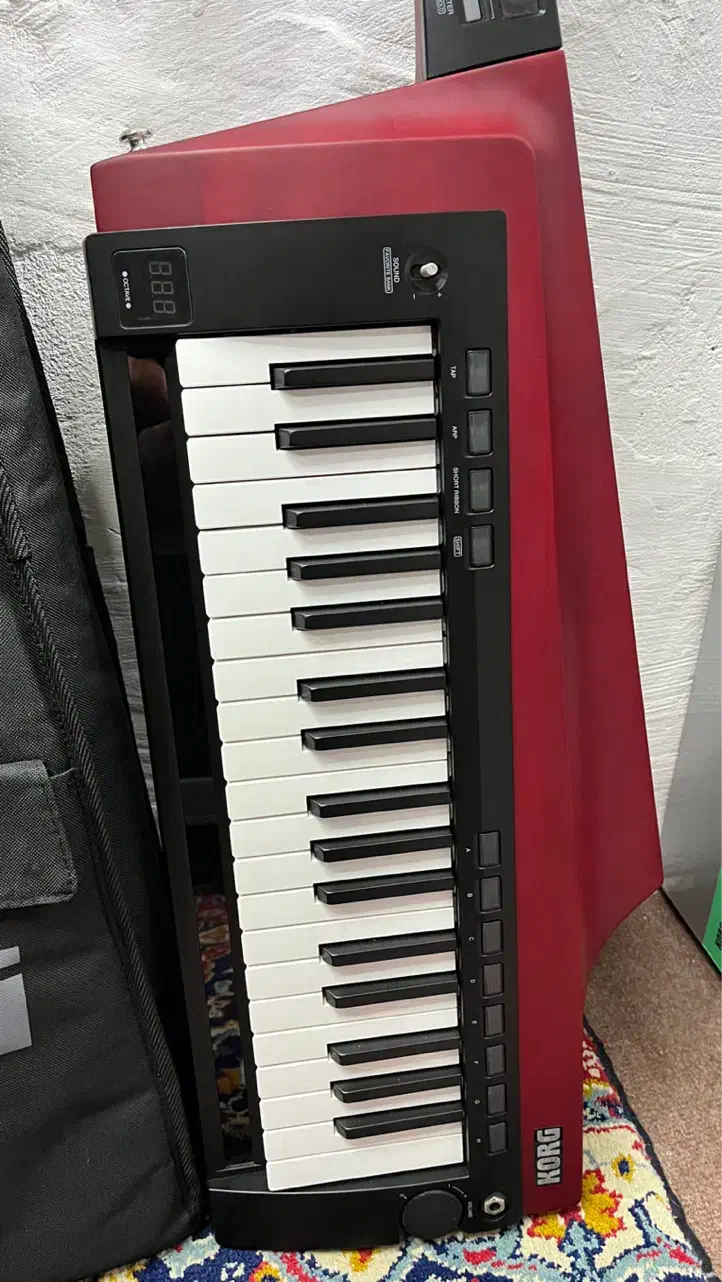 کیبورد گیو کرگ|پیانو، کیبورد، آکاردئون|بندر انزلی, امامزاده|دیوار