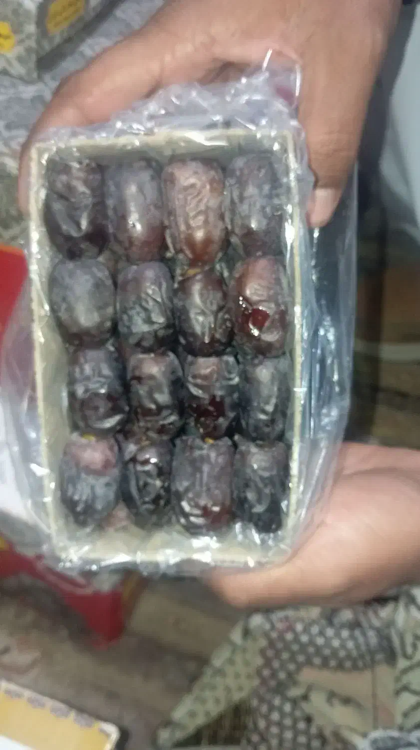 خرما بلوچستان|خوردنی و آشامیدنی|مشهد, کوشش|دیوار