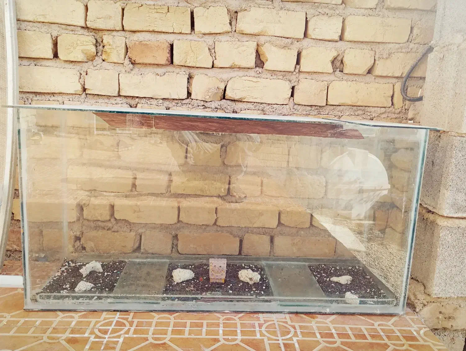 آکواریوم|ماهی|مرودشت, زنگی آباد|دیوار