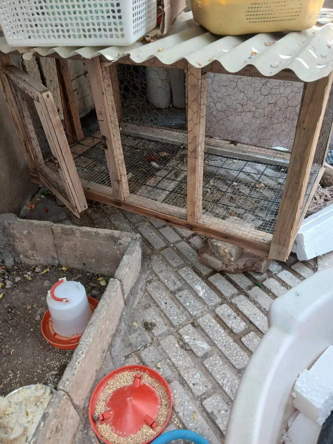 قفس مرغ خروس|لوازم جانبی حیوانات|کرمانشاه, |دیوار