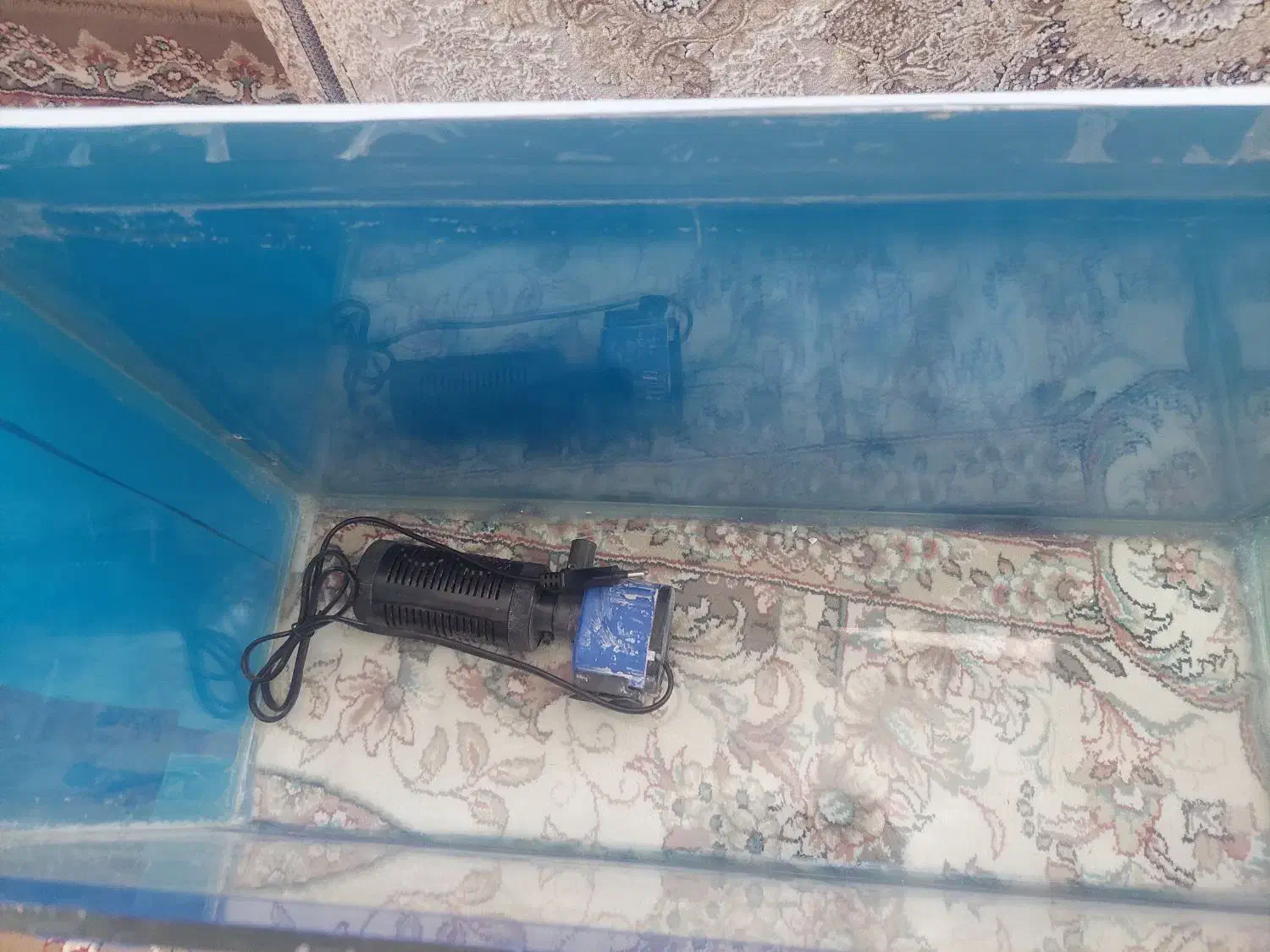 اکواریوم|ماهی|همدان, |دیوار