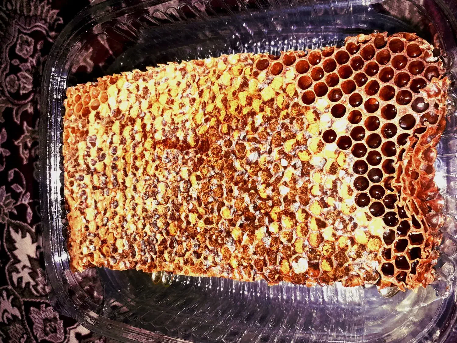 عسل طبیعی خلخال|خوردنی و آشامیدنی|رشت, فخب|دیوار