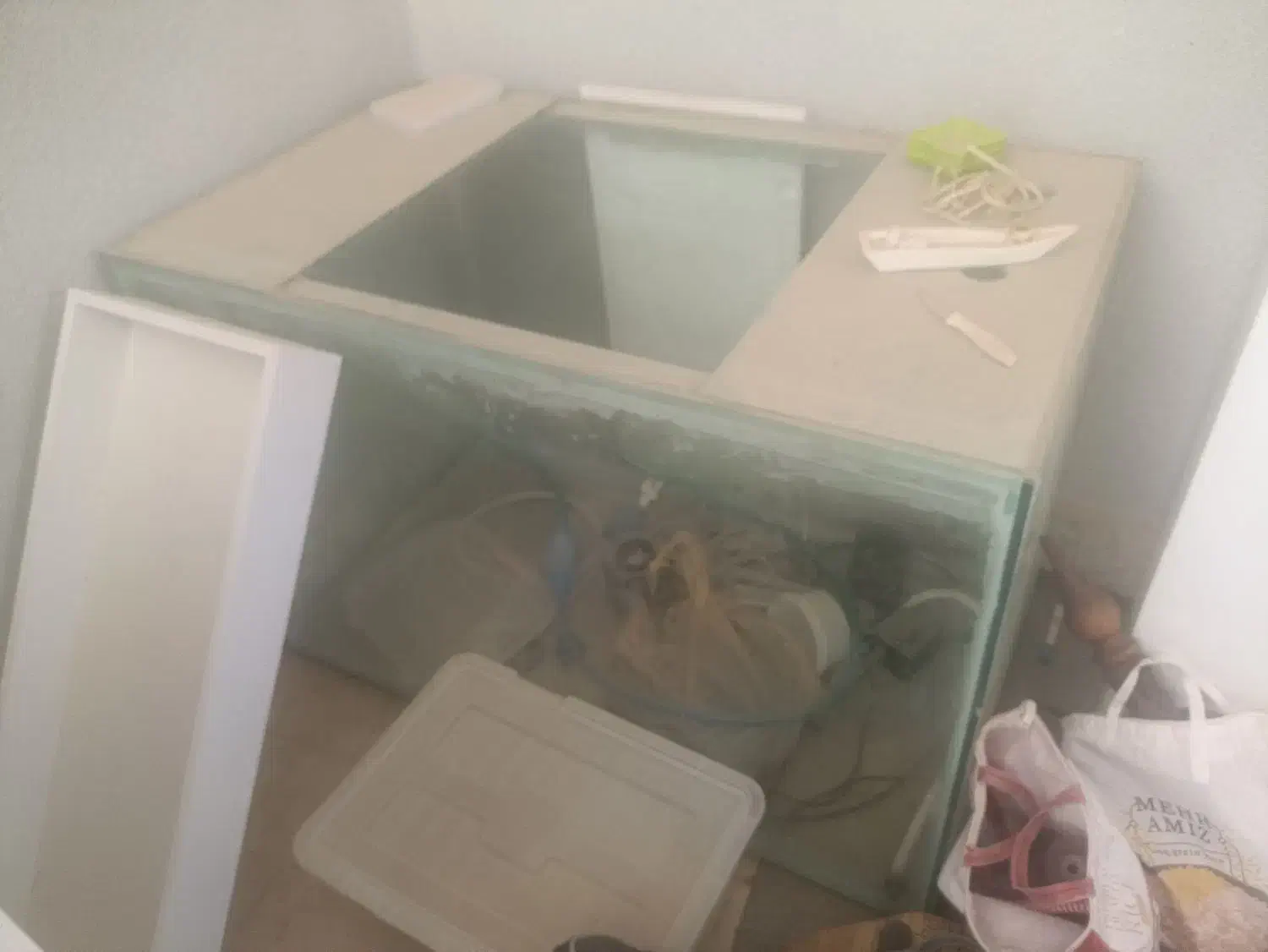 آکواریوم و تجهیزات|ماهی|یزد, |دیوار