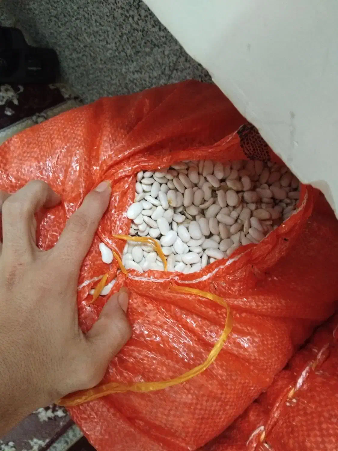 لوبیا سفید|خوردنی و آشامیدنی|اردبیل, |دیوار