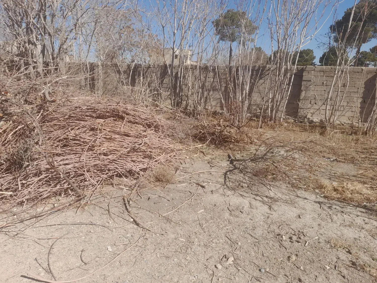 مقداری چوب|خدمات پیشه و مهارت|فلاورجان, |دیوار