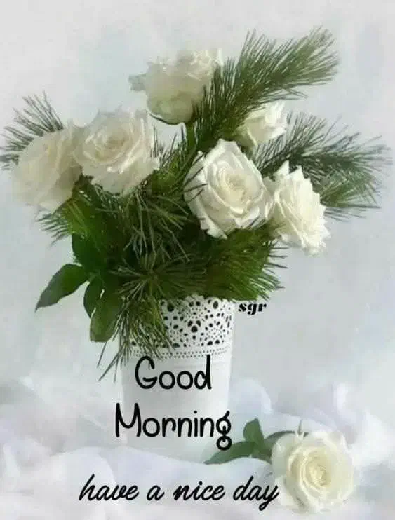 جذب نیروی اقا در کارگاه شیرینی فروشی|استخدام بازاریابی و فروش|گرگان, |دیوار